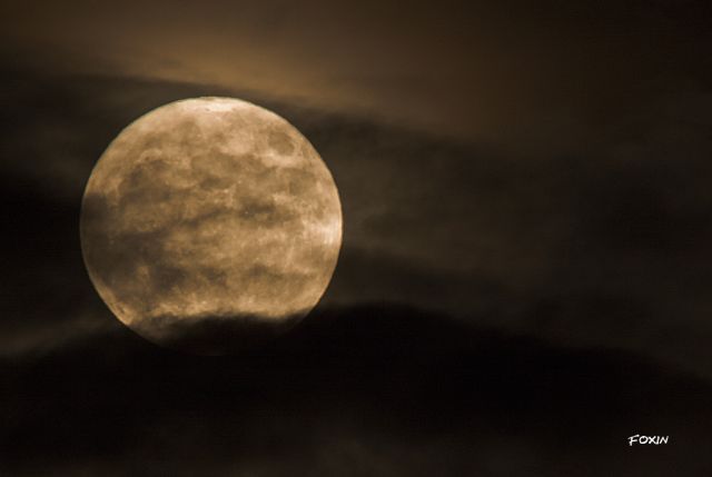 album/086 Superluna_14_11_16.jpg